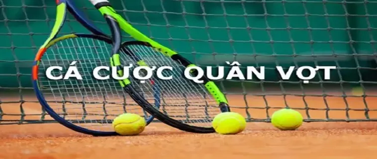 Quần Vợt 8DAY: Khám Phá Thế Giới Cá Cược Đỉnh Cao Cho Dân Chơi